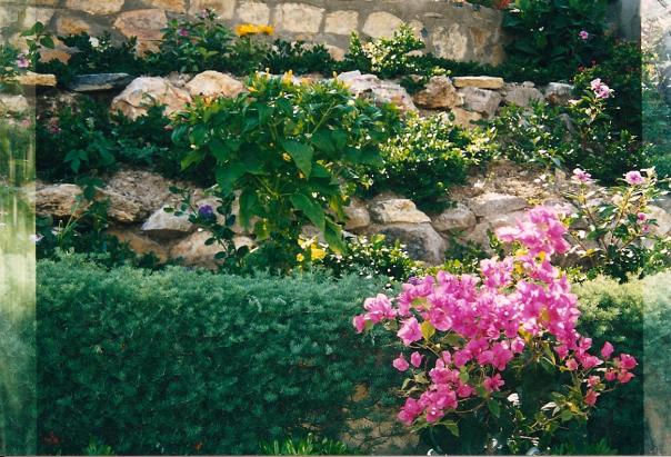 Name:  62.jpg
Views: 1236
Size:  71.1 KB