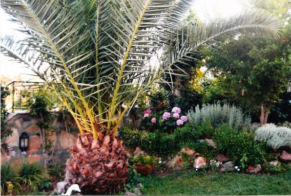 Name:  bahce36.jpg
Views: 1156
Size:  72.0 KB