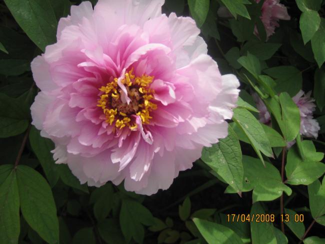 Name:  012.jpg
Views: 1181
Size:  39.0 KB