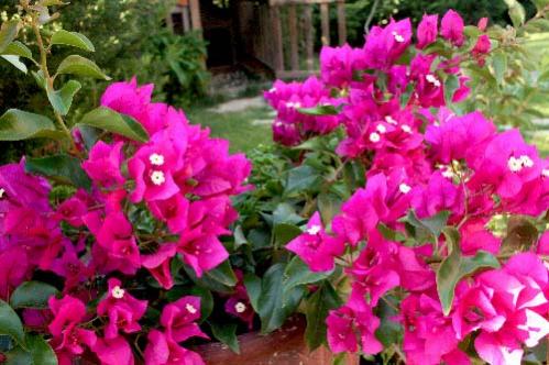 Name:  IMG_4763.jpg
Views: 4146
Size:  40.0 KB