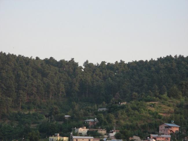 Name:  atllar.jpg
Views: 1038
Size:  29.8 KB
