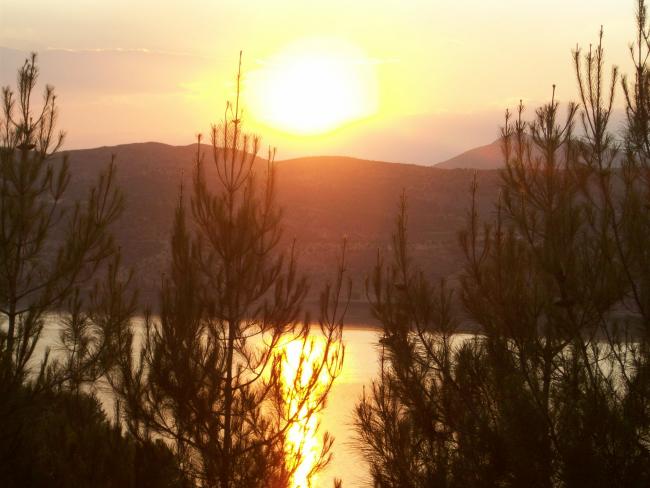 Name:  100_1081.jpg
Views: 568
Size:  42.9 KB