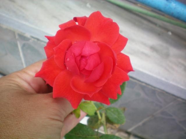 Name:  000_0001.jpg
Views: 921
Size:  25.8 KB