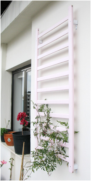 Name:  baharozet1.jpg
Views: 2236
Size:  60.3 KB