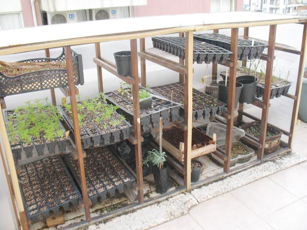 Name:  baharozet3.jpg
Views: 2155
Size:  64.2 KB