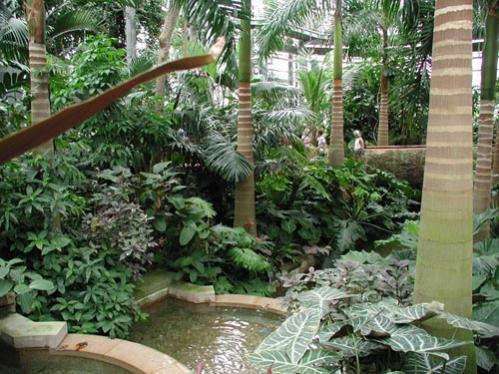 Name:  US_botanic_garden_2.jpg
Views: 3171
Size:  50.3 KB