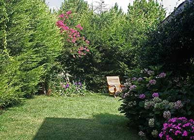 Name:  IMG_4963.JPG
Views: 2299
Size:  65.6 KB