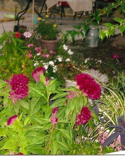Name:  051.jpg
Views: 1192
Size:  55.7 KB