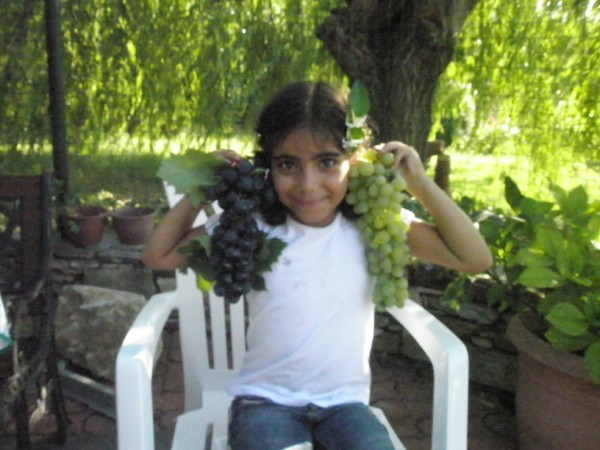 Name:  P8191913 (600 x 450).jpg
Views: 841
Size:  69.5 KB