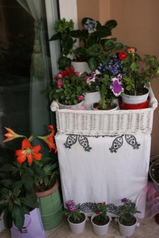 Name:  IMG_0566.jpg
Views: 1199
Size:  23.4 KB