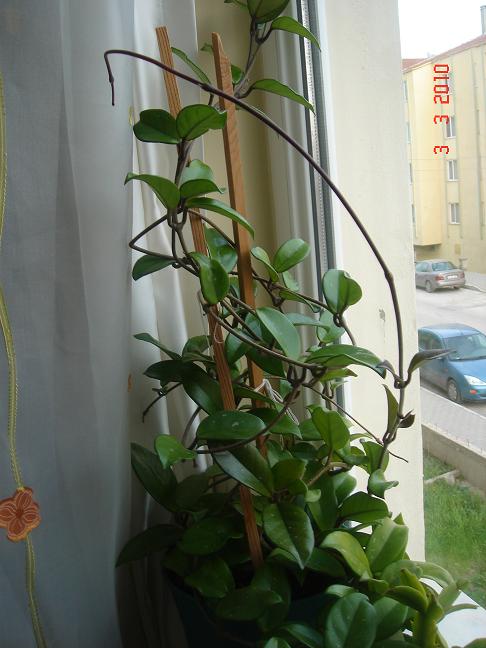 Name:  DSC02690.JPG
Views: 1777
Size:  53.2 KB