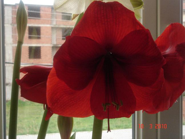 Name:  DSC02707.JPG
Views: 1540
Size:  46.7 KB