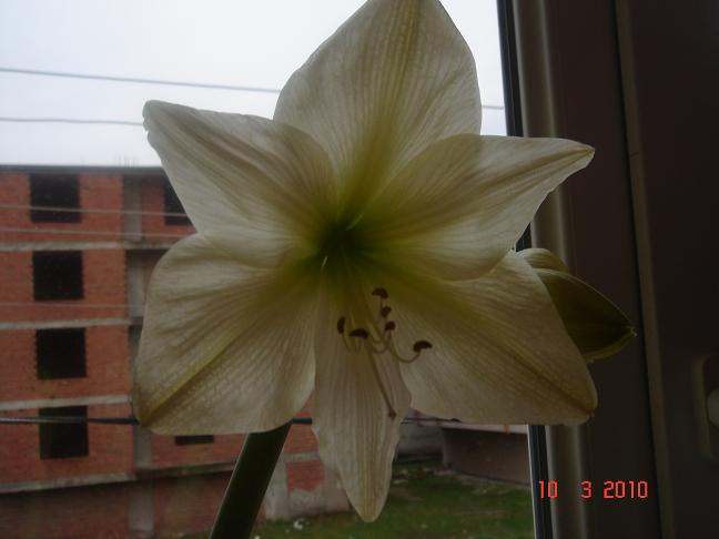 Name:  DSC02708.JPG
Views: 1545
Size:  38.8 KB