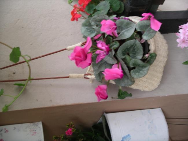 Name:  IMGP5104.jpg
Views: 881
Size:  34.2 KB