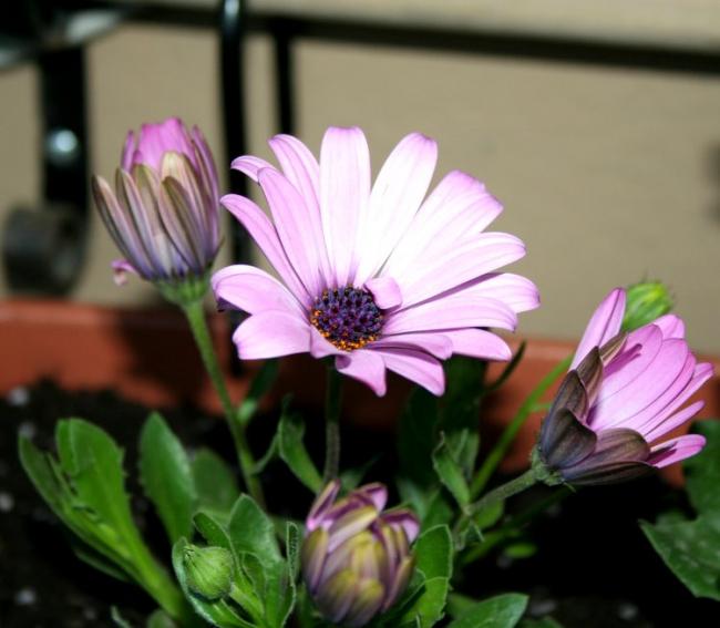 Name:  biz 002.jpg
Views: 928
Size:  40.1 KB