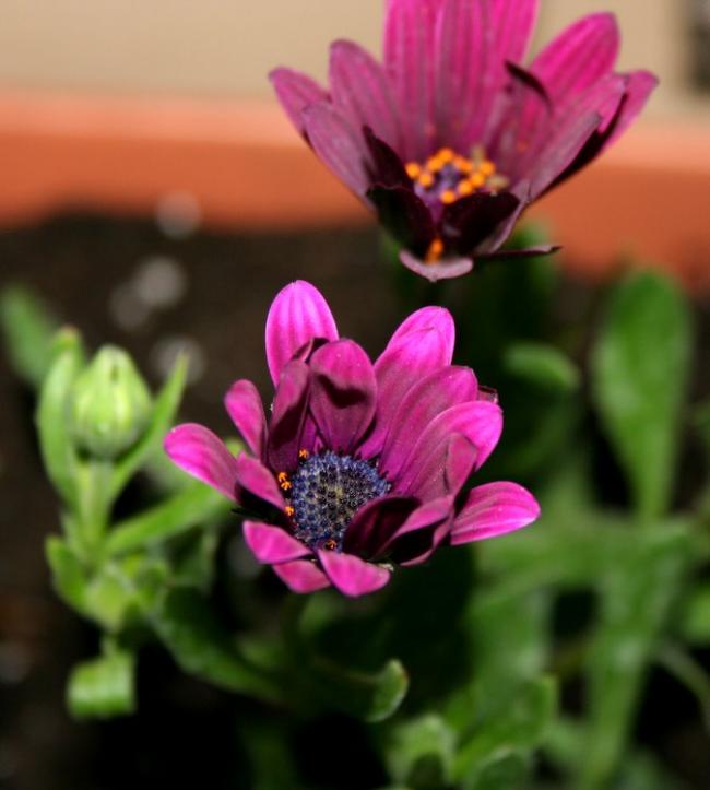 Name:  biz 003.jpg
Views: 908
Size:  40.6 KB