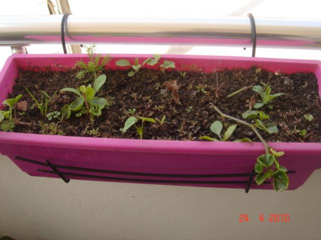 Name:  24 nisan 037.jpg
Views: 1198
Size:  38.9 KB