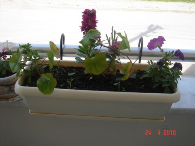 Name:  24 nisan 042.jpg
Views: 1230
Size:  28.8 KB