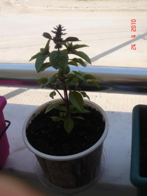 Name:  24 nisan 044.jpg
Views: 1203
Size:  28.5 KB