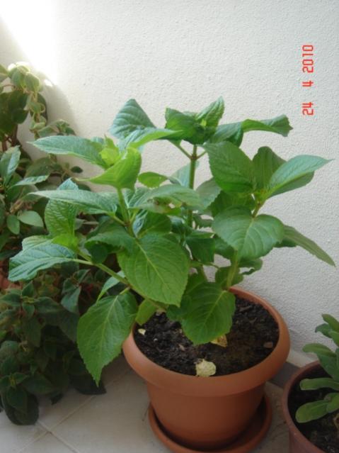 Name:  24 nisan 031.jpg
Views: 1406
Size:  40.2 KB