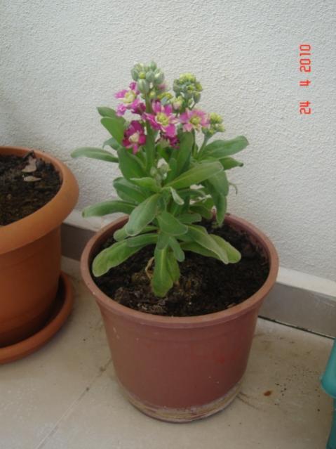 Name:  24 nisan 032.jpg
Views: 1295
Size:  36.8 KB