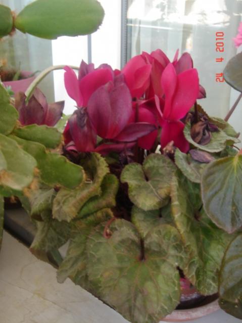 Name:  24 nisan 013.jpg
Views: 1115
Size:  35.9 KB