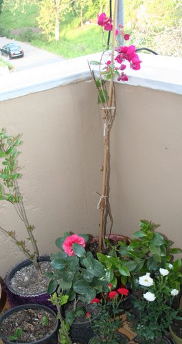 Name:  biz 058.jpg
Views: 906
Size:  41.1 KB