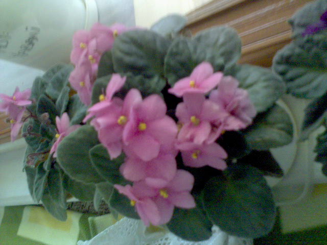 Name:  DSC00031.JPG
Views: 1802
Size:  64.8 KB