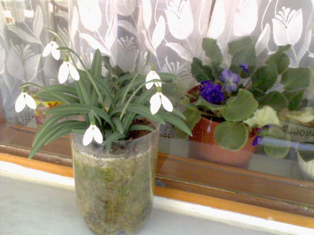 Name:  DSC00081.JPG
Views: 1681
Size:  67.1 KB