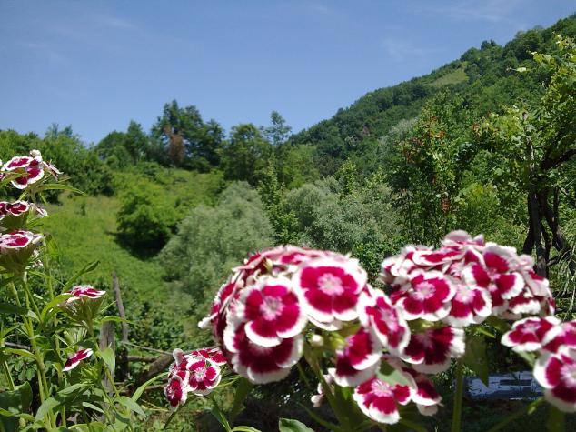 Name:  Grnt312.jpg
Views: 1611
Size:  70.7 KB