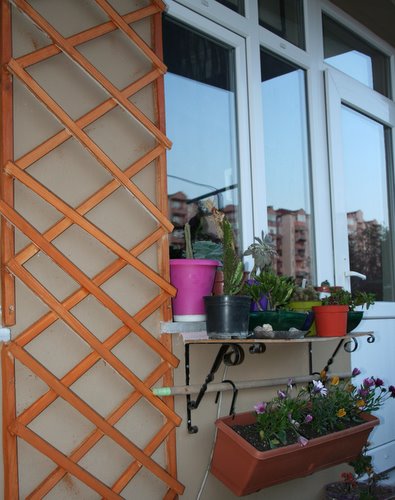 Name:  çiçek son 060-1.jpg
Views: 829
Size:  62.3 KB