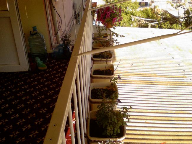 Name:  balkondaki sakslarmdan grnt 1.jpg
Views: 1745
Size:  60.3 KB