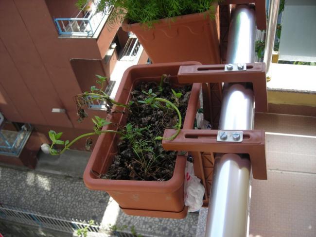 Name:  balkon5.jpg
Views: 997
Size:  44.7 KB