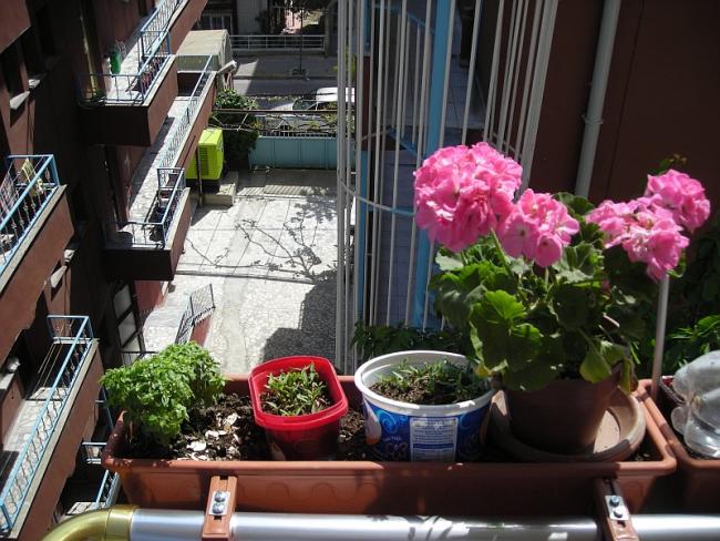 Name:  balkon7.jpg
Views: 1068
Size:  66.9 KB