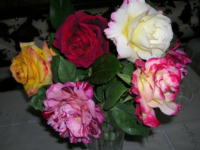 Name:  DSCN7347.jpg
Views: 2169
Size:  47.1 KB