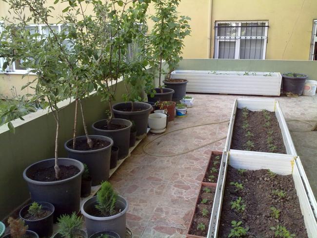 Name:  bahce 016.jpg
Views: 1859
Size:  67.9 KB