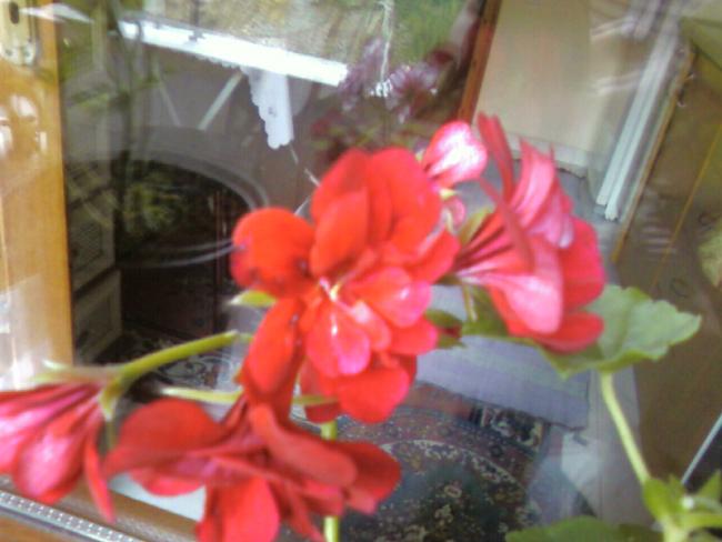 Name:  Fotoraf-0009.jpg
Views: 1856
Size:  37.2 KB