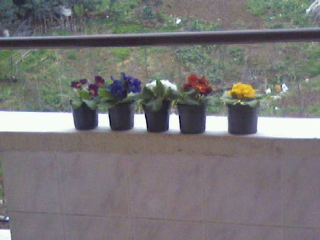 Name:  serkanm (72).jpg
Views: 1992
Size:  35.2 KB
