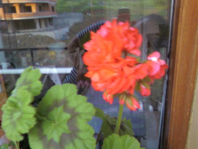 Name:  Fotoraf-0007.jpg
Views: 1867
Size:  34.1 KB