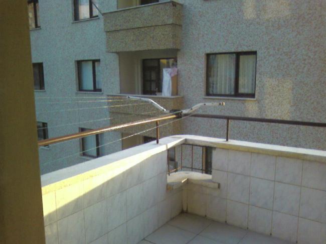 Name:  24.05, (1).jpg
Views: 2176
Size:  36.3 KB
