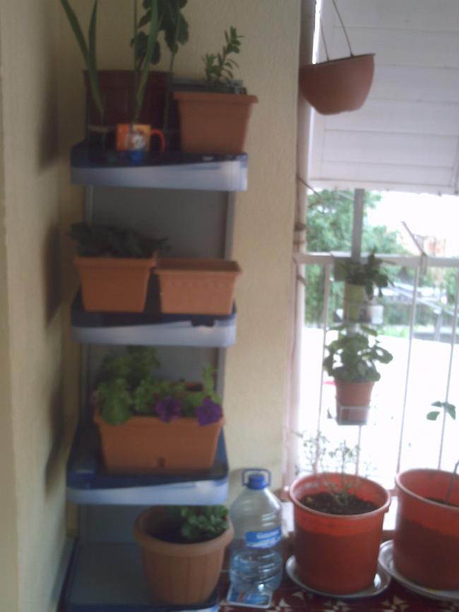 Name:  IMAG0151.jpg
Views: 2648
Size:  41.5 KB