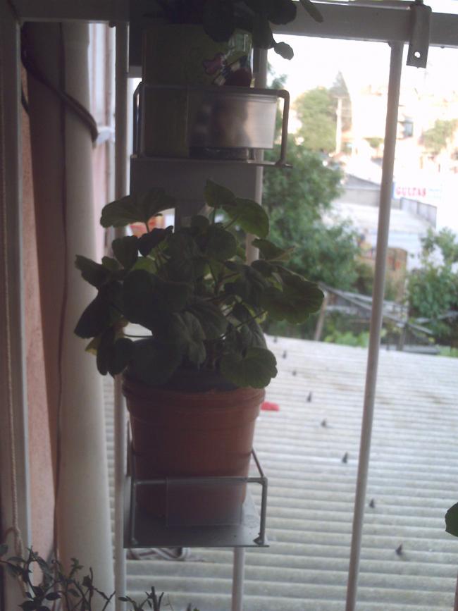 Name:  IMAG0161.jpg
Views: 1283
Size:  53.3 KB