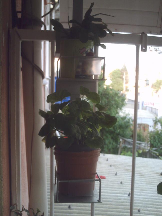 Name:  IMAG0162.jpg
Views: 1285
Size:  50.6 KB