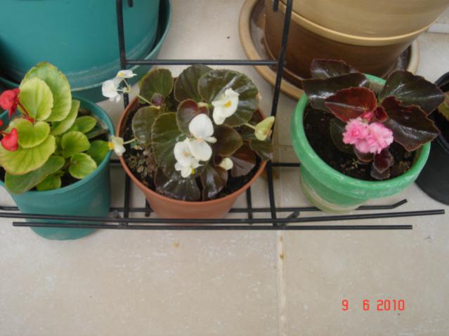 Name:  DSC03260.jpg
Views: 968
Size:  36.6 KB