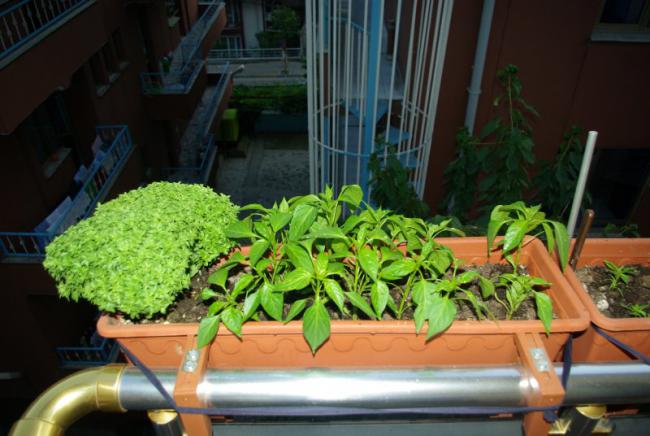 Name:  balkon2d.jpg
Views: 873
Size:  46.5 KB