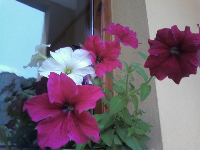 Name:  Fotoraf-0002.jpg
Views: 1660
Size:  32.7 KB