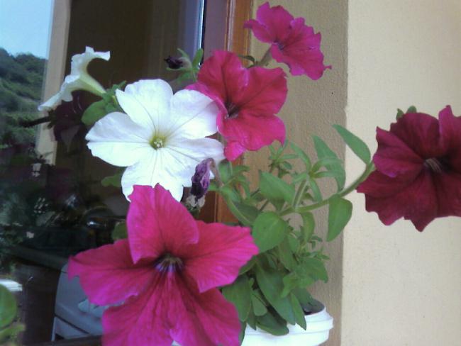 Name:  Fotoraf-0003.jpg
Views: 1579
Size:  35.2 KB