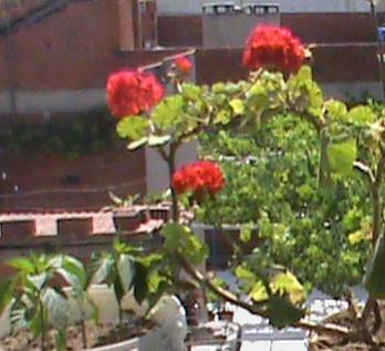 Name:  yeni3er 025.jpg
Views: 1679
Size:  22.7 KB