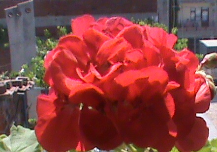Name:  yeni3er 026.JPG
Views: 1644
Size:  69.0 KB
