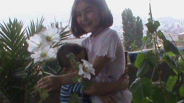 Name:  KED TIRNAI 041.jpg
Views: 1442
Size:  28.2 KB